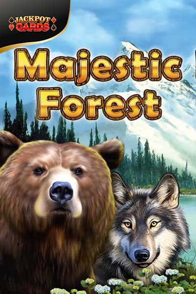 Majestic Forest